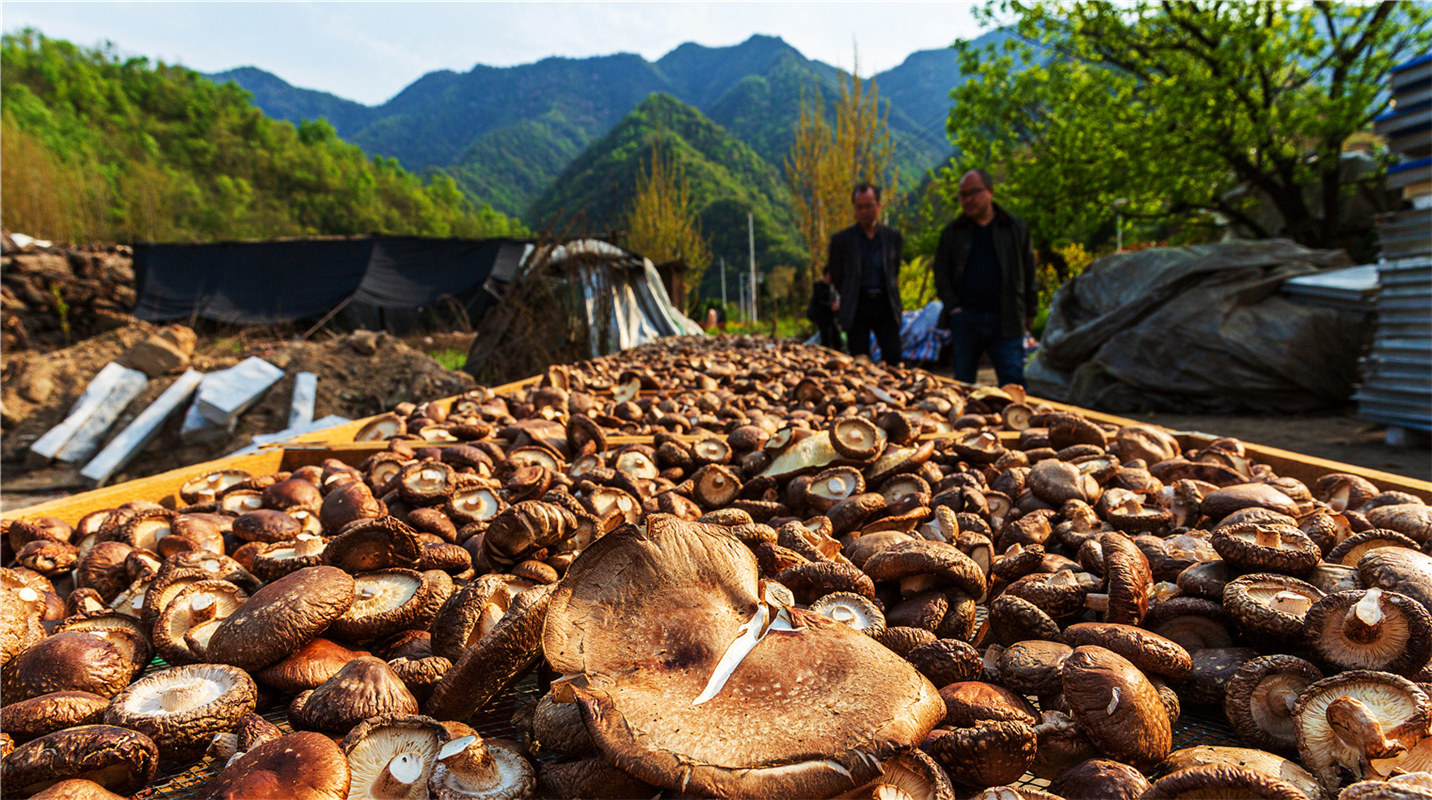 《結(jié)對幫扶，碩果累累》高波