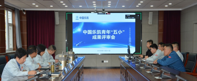 激揚青春智造力！中國樂凱團(tuán)委召開青年&ldquo;五小&rdquo;成果評審會